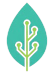 Vyne Language Support